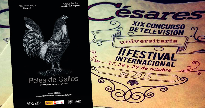 Documental «Pelea De Gallos: Con Espolón, Contra Navaja Libre» Ganó Varios Premios En Colombia